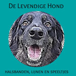 De levendige hond